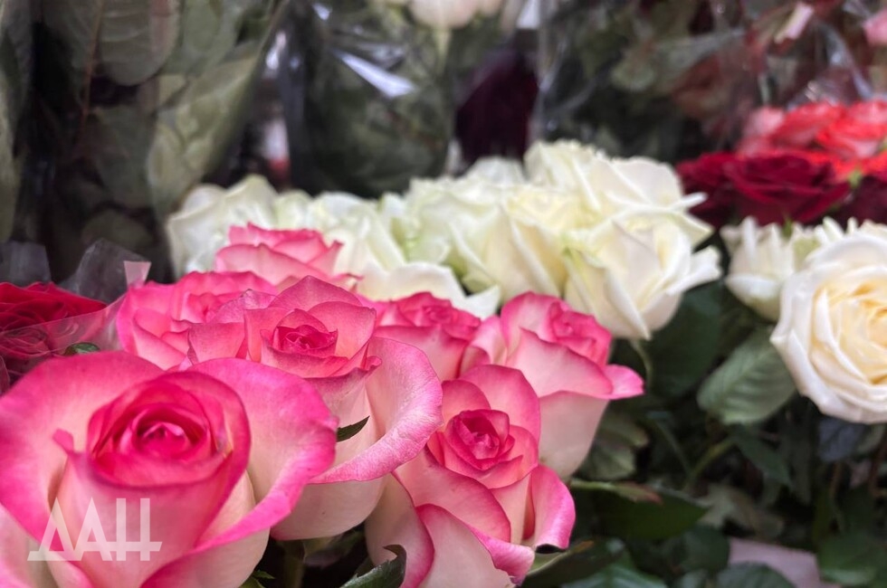 Фото: Донецкое агентство новостей