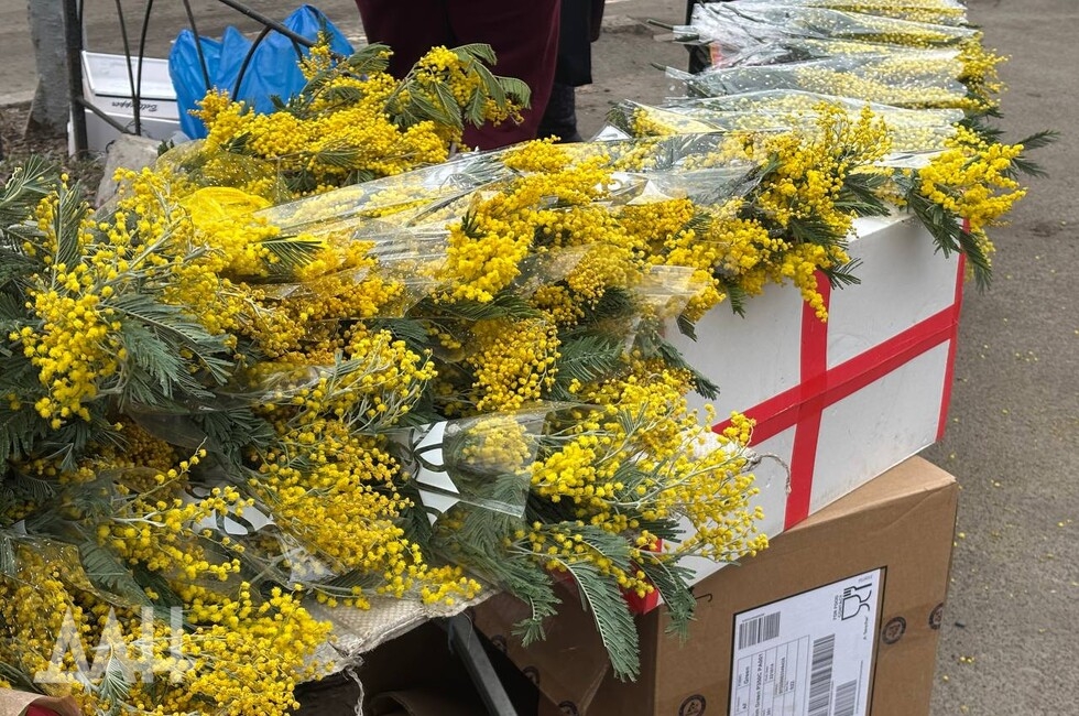 Фото: Донецкое агентство новостей