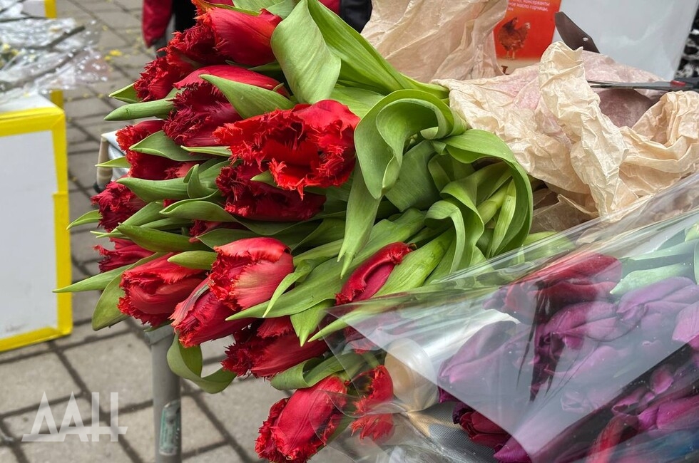 Фото: Донецкое агентство новостей